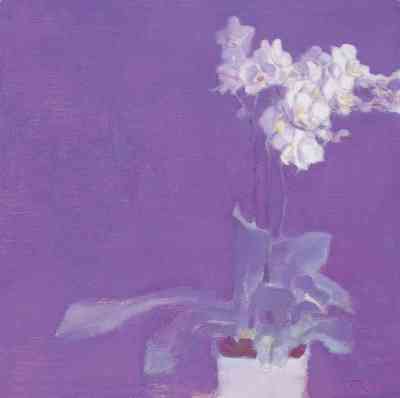 章晓明  紫色的兰花